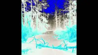 Nightmares and Dreams 7