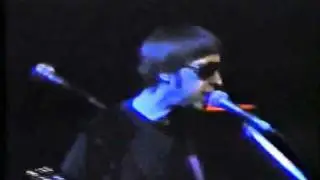 Cyril JORDAN & the SNEETCHES - Ju Ju Man (1991)