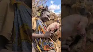 #animals