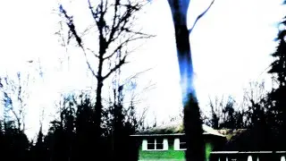 Noah Gazmen - bite the sand