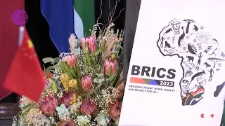 South Africa Invites BRICS Collaboration on Green Hydrogen Ventures