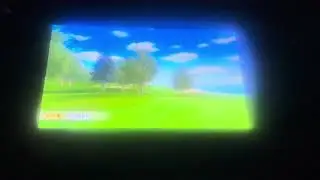 Wii Sports Resort Chip in Eagle 