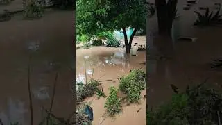 Disaster💔 #nature #disaster #flood #j&k #jammu #heavyrain #destruction #viral #trending #shorts