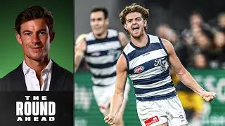 The Cats' draft BOLTER living the dream | The Round Ahead