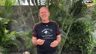 Parte 1 - Aprende comandos básicos en la educación canina con Siegbert Till