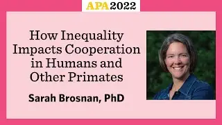 How Inequality Impacts Cooperation in Humans and Other Primates with Sarah Brosnan, PhD