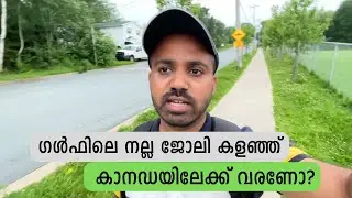 ഗൾഫിലെ നല്ല ജോലി കളഞ്ഞ് കാനഡയിലേക്ക് വരണോ? Comparison between work life in Gulf countries and Canada