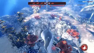 Depth Great White Shark