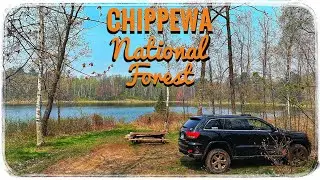 Chippewa National Forest: Secluded Lakeside Camping