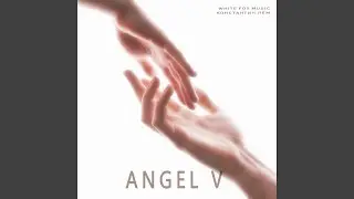 Angel V