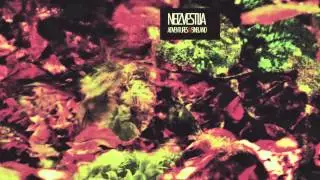 Neizvestija --&nbsp;Adventures in Sineland