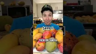 Eating $500 worth of Mangos 💰🥭 #shorts
