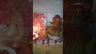 bhot bhai din Chad gya meri amber &hearts;️ #trendingvideo #religion #ytshirts #viral # @seemapanwar6012