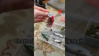 Bait caster or spinning? #fishing #fishingvideo #fisherman #fishinglife #bassfeatured #baitcaster