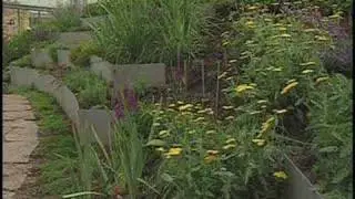 Toronto Botanical Garden