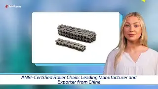 ANSI-Certified Roller Chain: Leading Manufacturer and Exporter from China