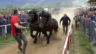 -Grmečki vuk ZIS na Karauli sa dva para srednje i jednim parom teške -