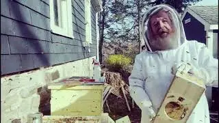 Installing Hive 2 of 3 - the New Bee Yard! (updated)