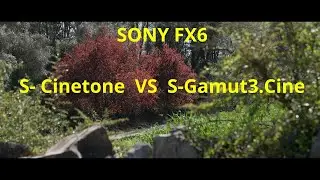 SONY FX6 - S-CINETONE VS S-GAMUT3. CINE TEST