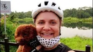 Exploring Pulau Ubin: The Island That Time Forgot (with Dotty and the Brompton)
