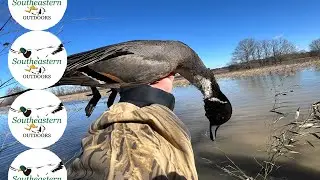Alabama Waterfowl Hunting - 🦆 Swan Creek Wildlife Management Area 🌾 Hunt - Jan 15, 2026