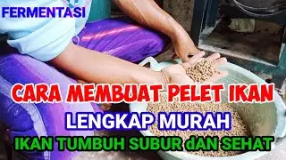 CARA MEMBUAT PELET IKAN,LENGKAP,MURAH,PROTEIN TINGGI. part 3