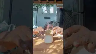 У меня есть масляный колокольчик #кухонныегаджеты