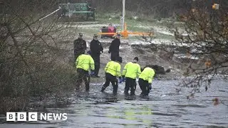 Police officer tried to punch through ice to save children from icy UK lake – BBC News