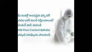 HM PEST CONTROL || Best Digital Marketing & Advertising Agency in #andhrapradesh #telangana