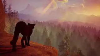 4K | Beyond the Shadows: A Black Cat&rsquo;s Forest Journey