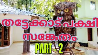 Thattekad Bird sanctuary part-2🦉#travel #beauty #nature #keralatourism