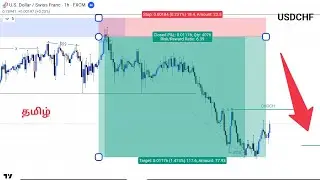 Best Smart Money Trading Concept #trading #currencytradingtips #stocktrading #forex369 