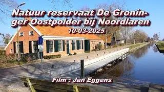 Natuur reservaat de Groninger Oostpolder bij Noordlaren 10 03 2025