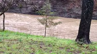 Cove Creek rolling while it rains April 5 2025. #river #sleepsound #sleepsounds #relaxing #bestofall