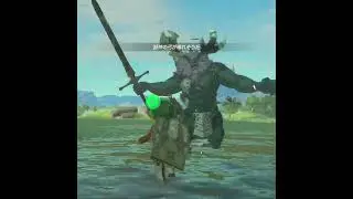 【ティアキン】ラネール湿原のライネル　ゼルダの伝説ティアーズオブ ザキングダムNintendo Switch 2 Edition #zelda #shorts