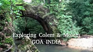 Exploring Colem & foothills of Anmod Ghats Mollem GOA INDIA