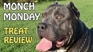 DOGS EATING DIFFERENT DOG TREATS | MONCH MONDAY: A TREAT REVIEW