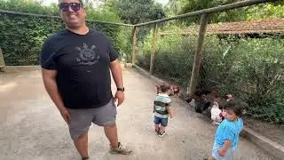 Fazendinha Cia dos Bichos - 20/11/2024