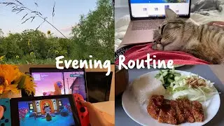 My Evening Routine After Work | Animal Crossing, Video Editing, Cats, and More