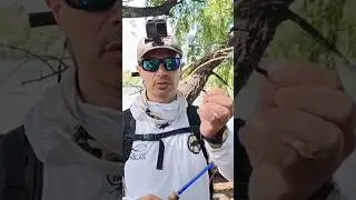 tips carpas con mosca #patagoniaflyfishing #pescaconmosca #pescacondevolucion