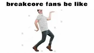 breakcore fans be like