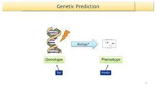 Lecture 12: Genetic Testing in a Laboratory