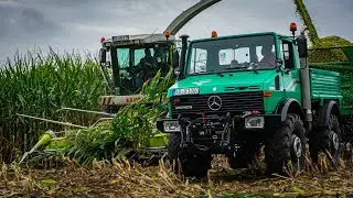 🌽 MAIS HÄCKSELN 2021 🌽| Pure Sound & Music |Unimog U1300 & U1700, FENDT, CASE | Unimog Corn Harvest