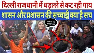 Cows are being slaughtered indiscriminately in the capital, Delhi! The truth about governance and...