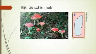 Ordenen van de vier Rijken