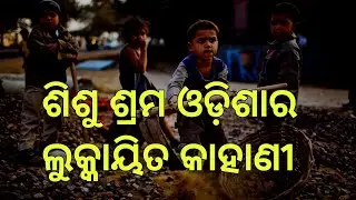 ଶିଶୁ ଶ୍ରମ ଓଡ଼ିଶାର ଲୁକ୍କାୟିତ କାହାଣୀ | Child Lebour 