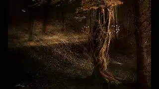 Light Beyond the Sky (trance, progressive house, experimental plugins) 2025