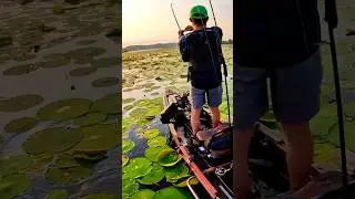 You Should Be Fishing The Punch Rig Right Now 🔥