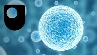 What is a cell?