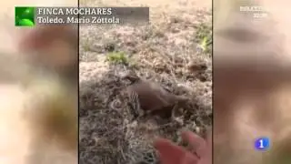 Finca Mochares en Programa Aqu&iacute; la Tierra. TVE 1 &ndash; 13-07-2015